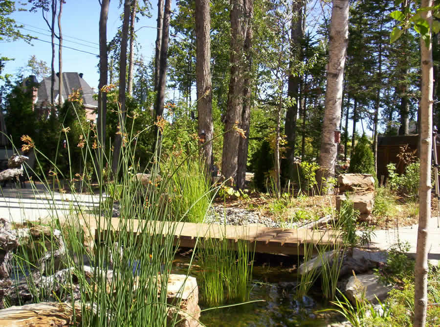 Les Jardins D'Edan photo 8